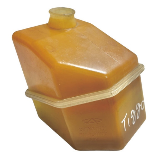 Reservatório Água Radiador Chery Tiggo 2010 S/tampa Cx197m