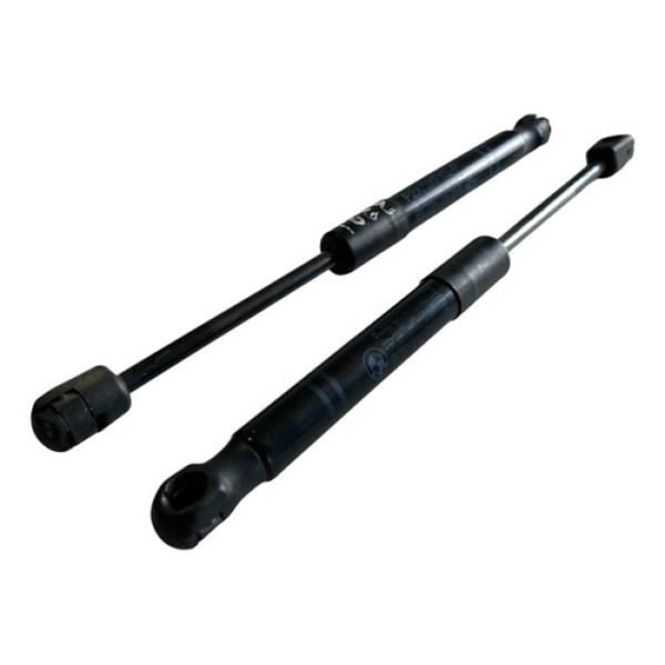 Par Amortecedor Capo Bmw 320i 2015 Cx450m