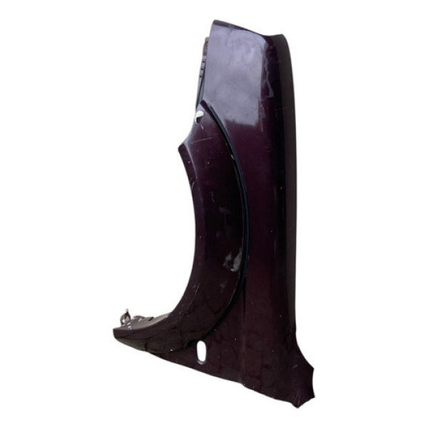 Paralama Lado Esquerdo Mitsubishi L200 2004 2005 2006 Mw