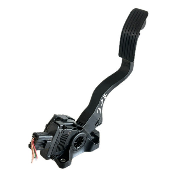 Pedal Acelerador Eletronico Peugeot 307 2012 Cx258s