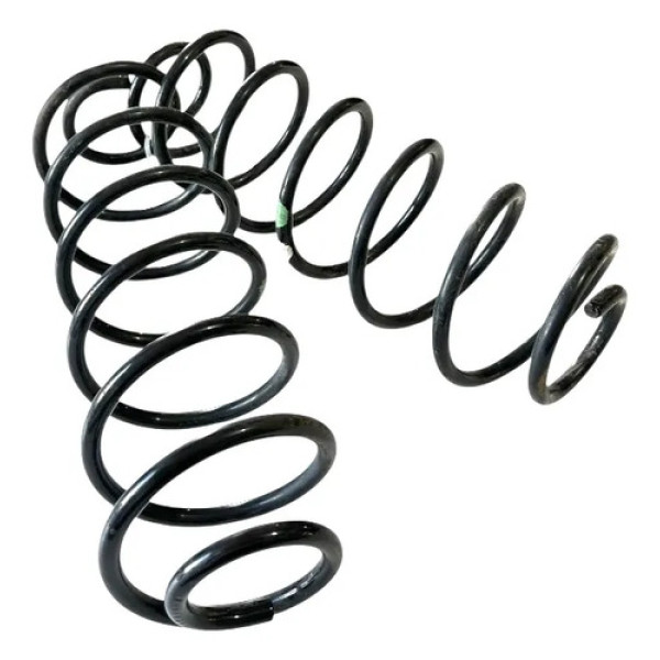 Par Mola Traseira Citroen C3 2004 M