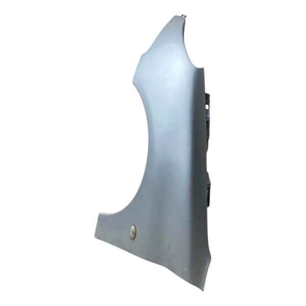 Paralama Lado Esquerdo Peugeot 206 2006 Mw